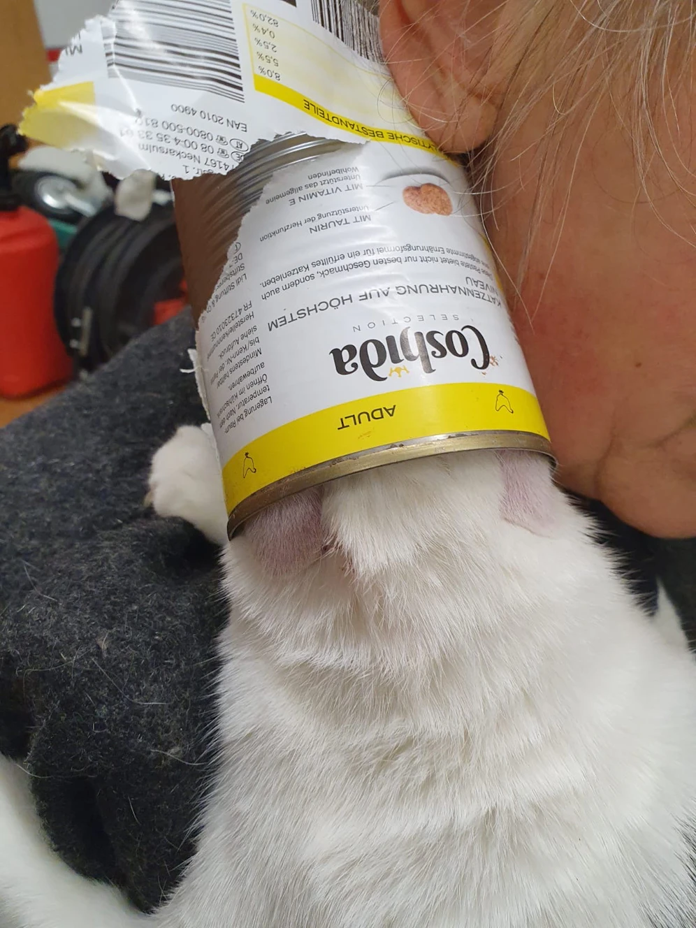 Der kleine Stubentiger konnte mit dem Kopf nicht mehr aus der Dose heraus.