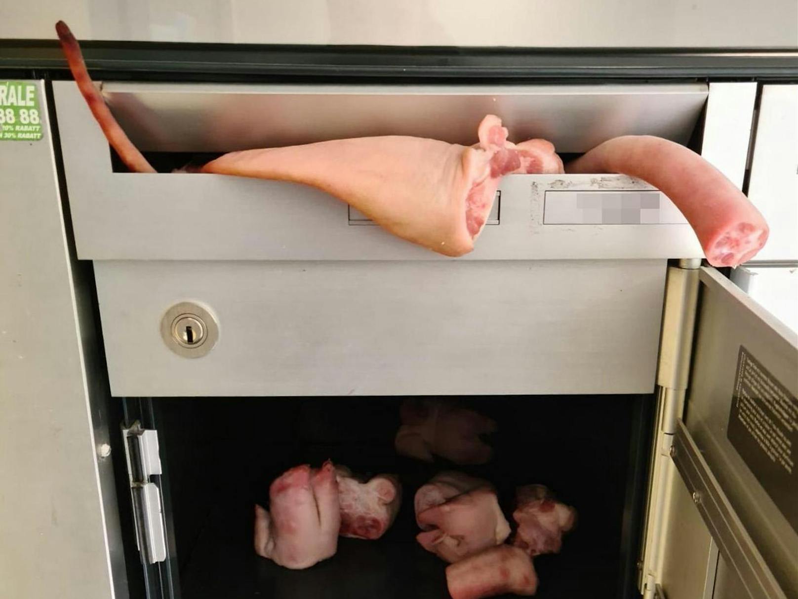 Am 9. Oktober haben Unbekannte bei einem Mehrfamilienhaus in Zürich-Schwamendingen Teile eines Schweins in einen Briefkasten gelegt.