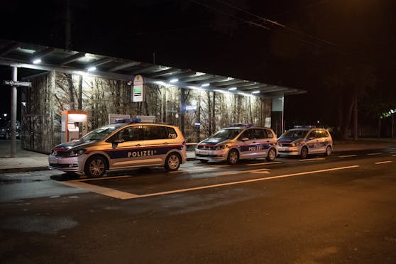 Drei Streifenwagen der Inspektion Sonderdienste rückten an.