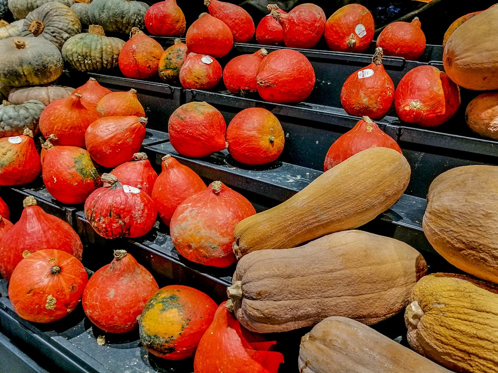 Symbolfoto von Kürbissen.