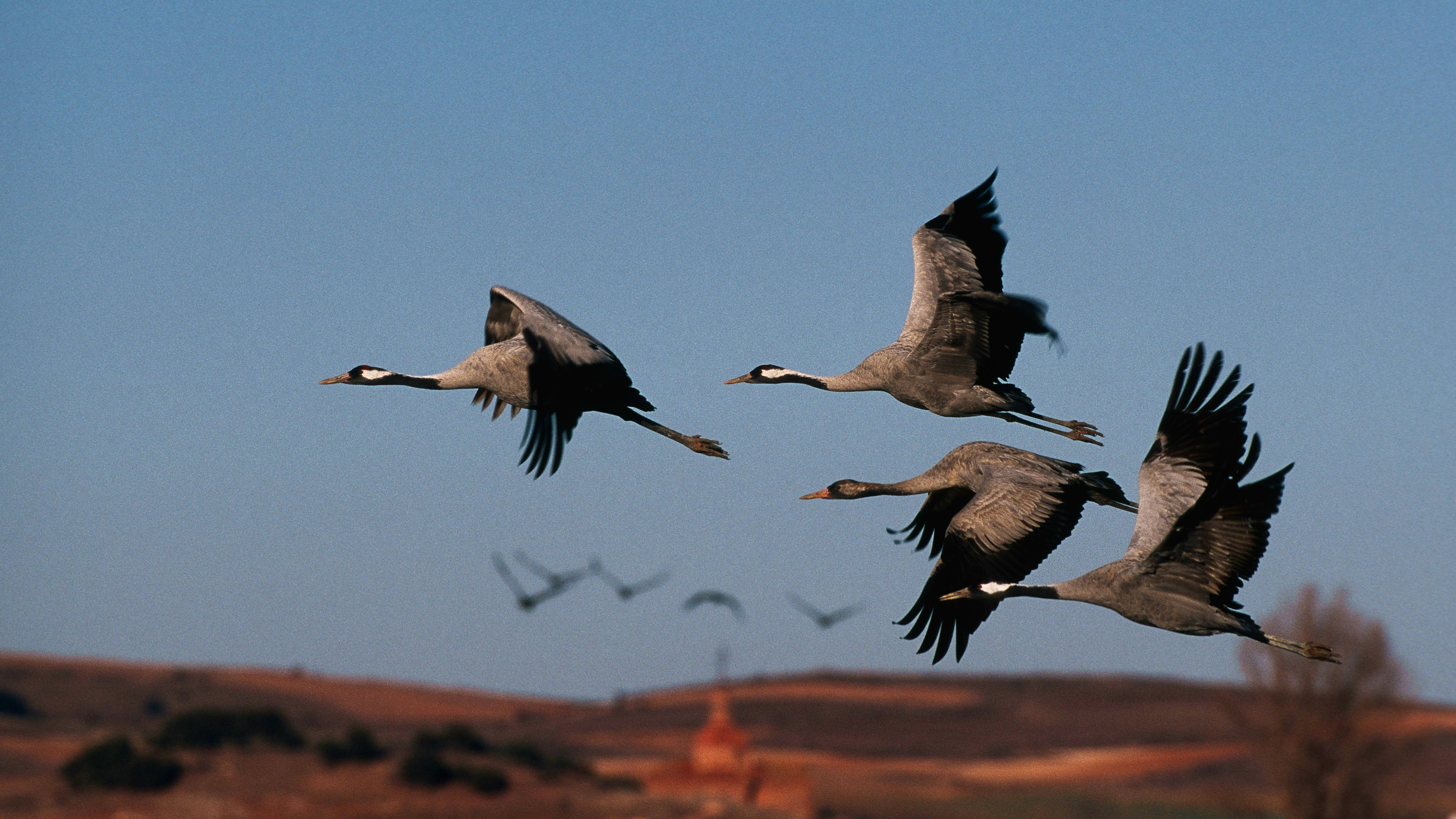 Heute.at - Jährliches Himmels-Spektakel startet genau JETZT