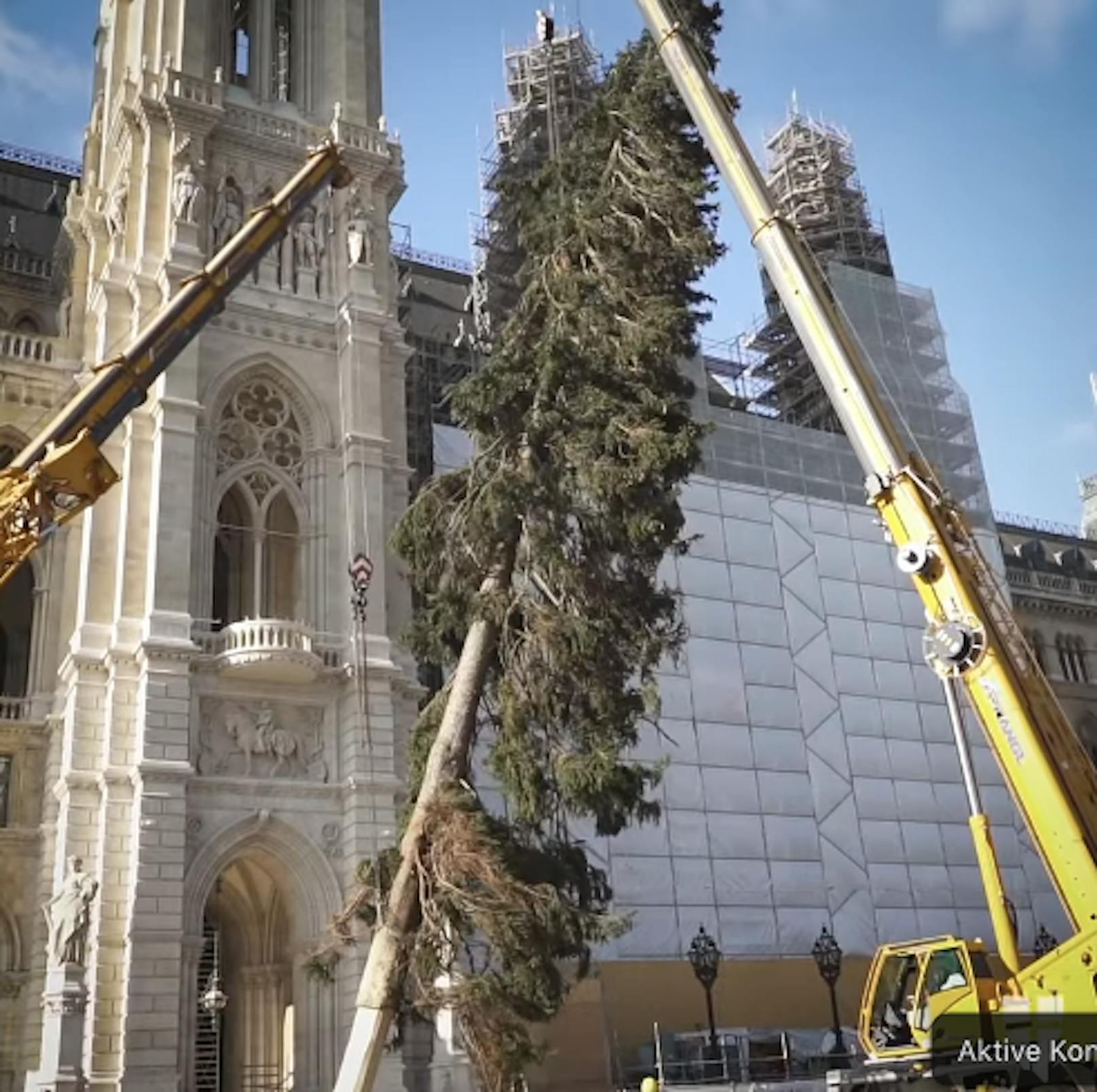 So witzig reagiert Wien auf den Christbaum aus OÖ