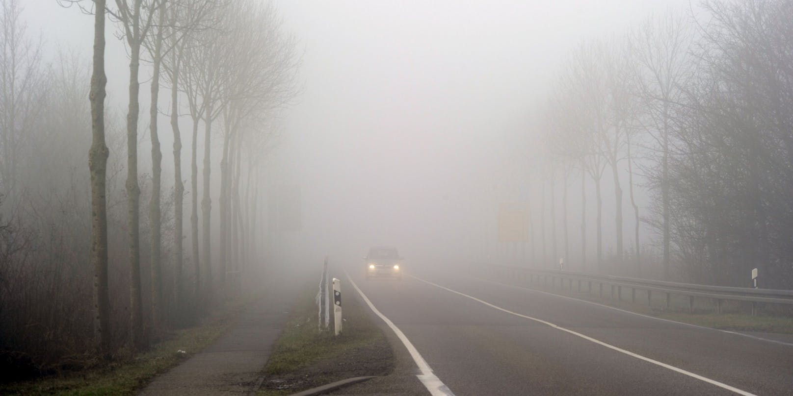 Eine Nebelwand blockiert die Sicht auf die Fahrbahn.