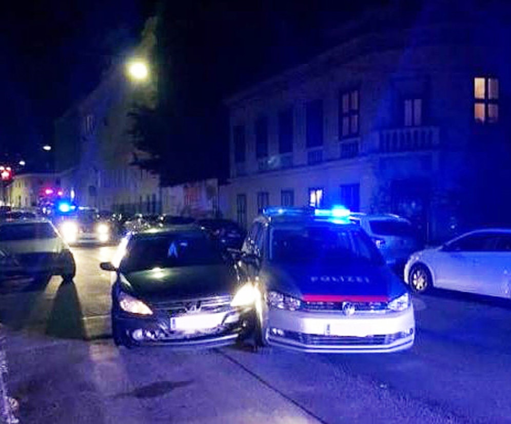 Ein 50-jähriger Lenker flüchtete vor der Polizei, weil er keinen Führerschein hat.&nbsp;