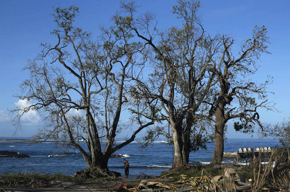Die Insel Vanuatu
