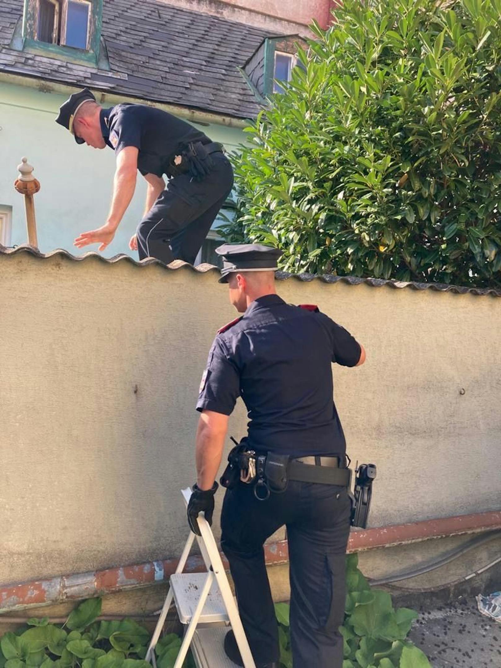 Die Beamten der "Stadtpolizei Baden" begeben sich auf die Suche.<br>