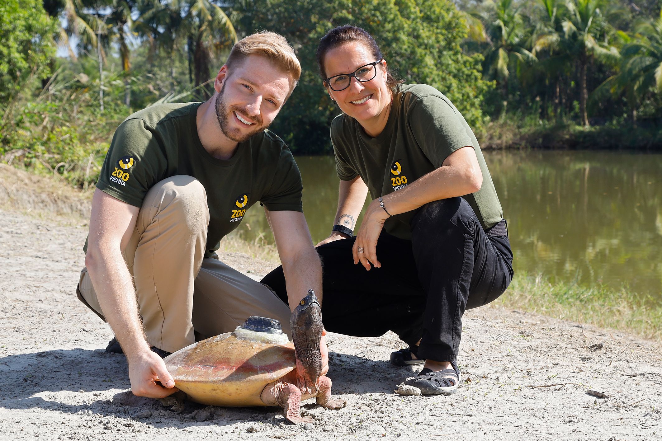 Die "Batagur"-Schildkröte wurde dank Tierpark Schönbrunn vom Aussterben bewahrt. Am Bild Rupert Kainradl und Doris Preininger