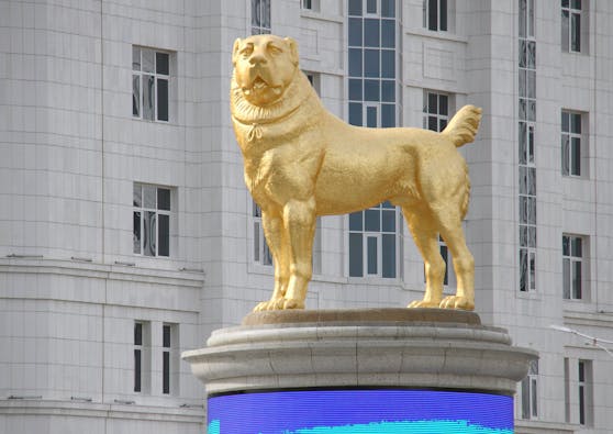 Auf einem neun meter hohen Sockel präsentiert sich die Lieblingshunderasse - der Alabai - des Präsidenten von Turkmenistan in Gold. 