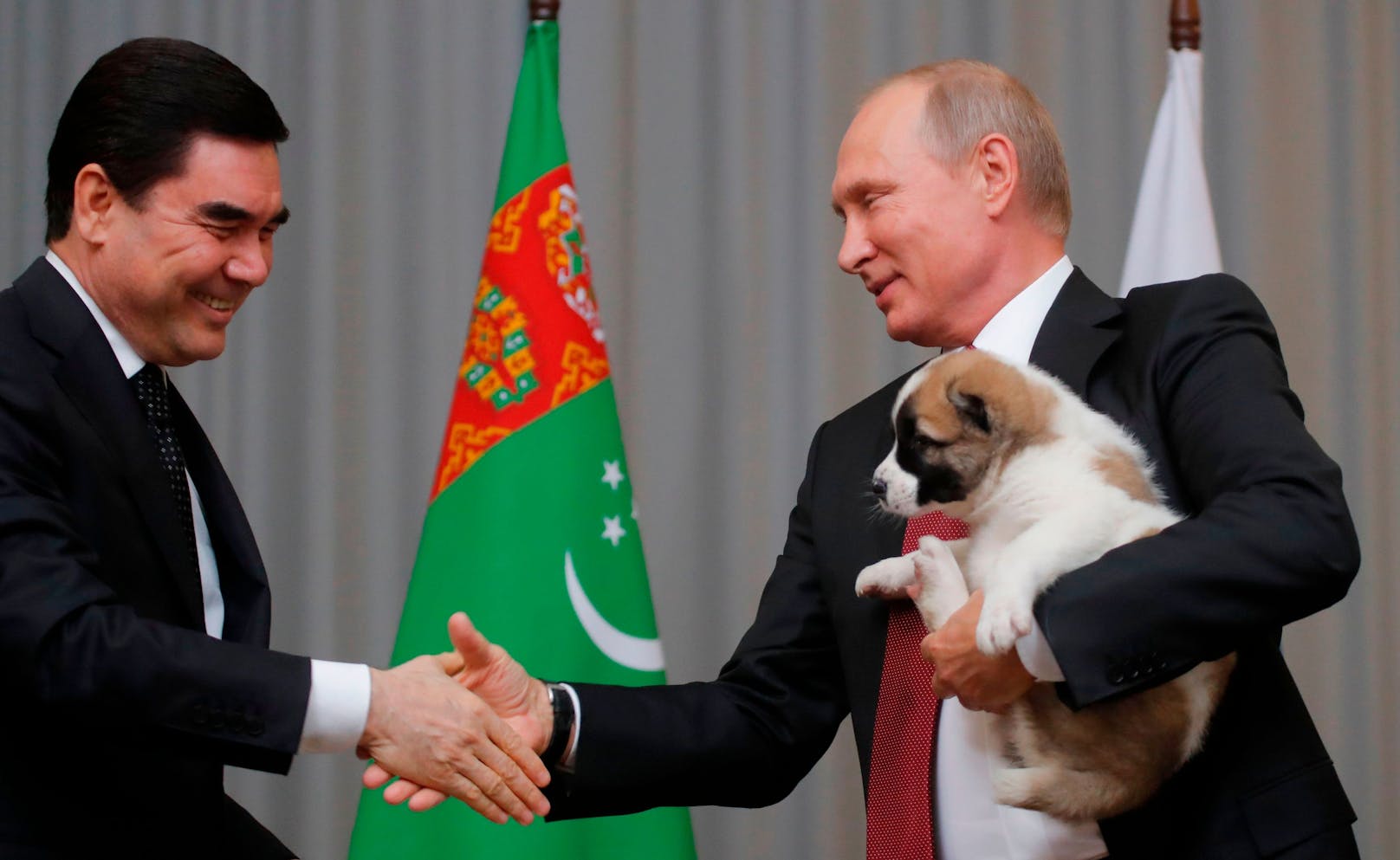 Zu seinem 65. Geburtstag überreichte der turkmenische Präsident dem russischen Hundeliebhaber Wladimir Putin einen Alabai-Welpen.