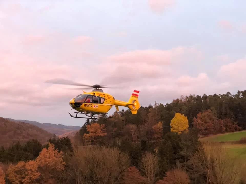 Ein Waldarbeiter wurde von einem Baum getroffen.