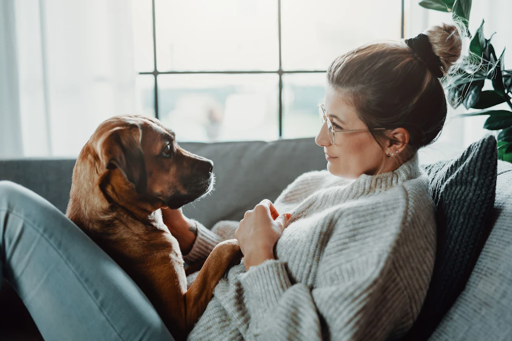 Einen Hund auszuführen erhöht die Wahrscheinlichkeit für eine Coronavirus-Infektion drastisch.