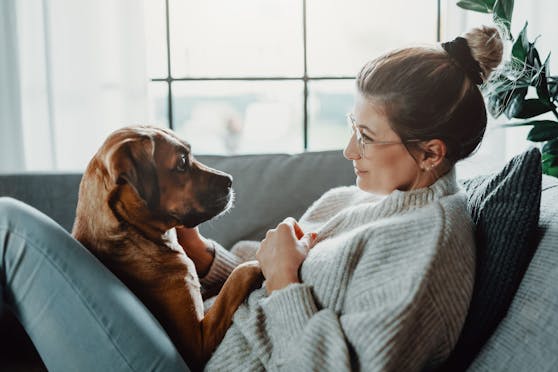 Einen Hund auszuführen erhöht die Wahrscheinlichkeit für eine Coronavirus-Infektion drastisch.