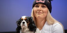 Lindsey Vonn erhält eigene Sendung mit zwölf Hunden