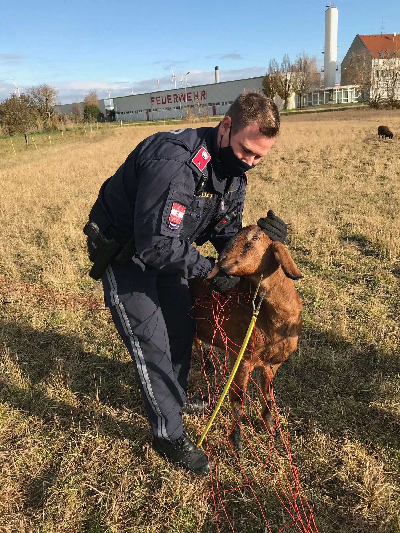 Polizeibeamte befreiten Ziege