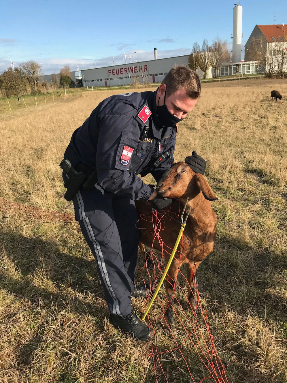 Polizeibeamte befreiten Ziege