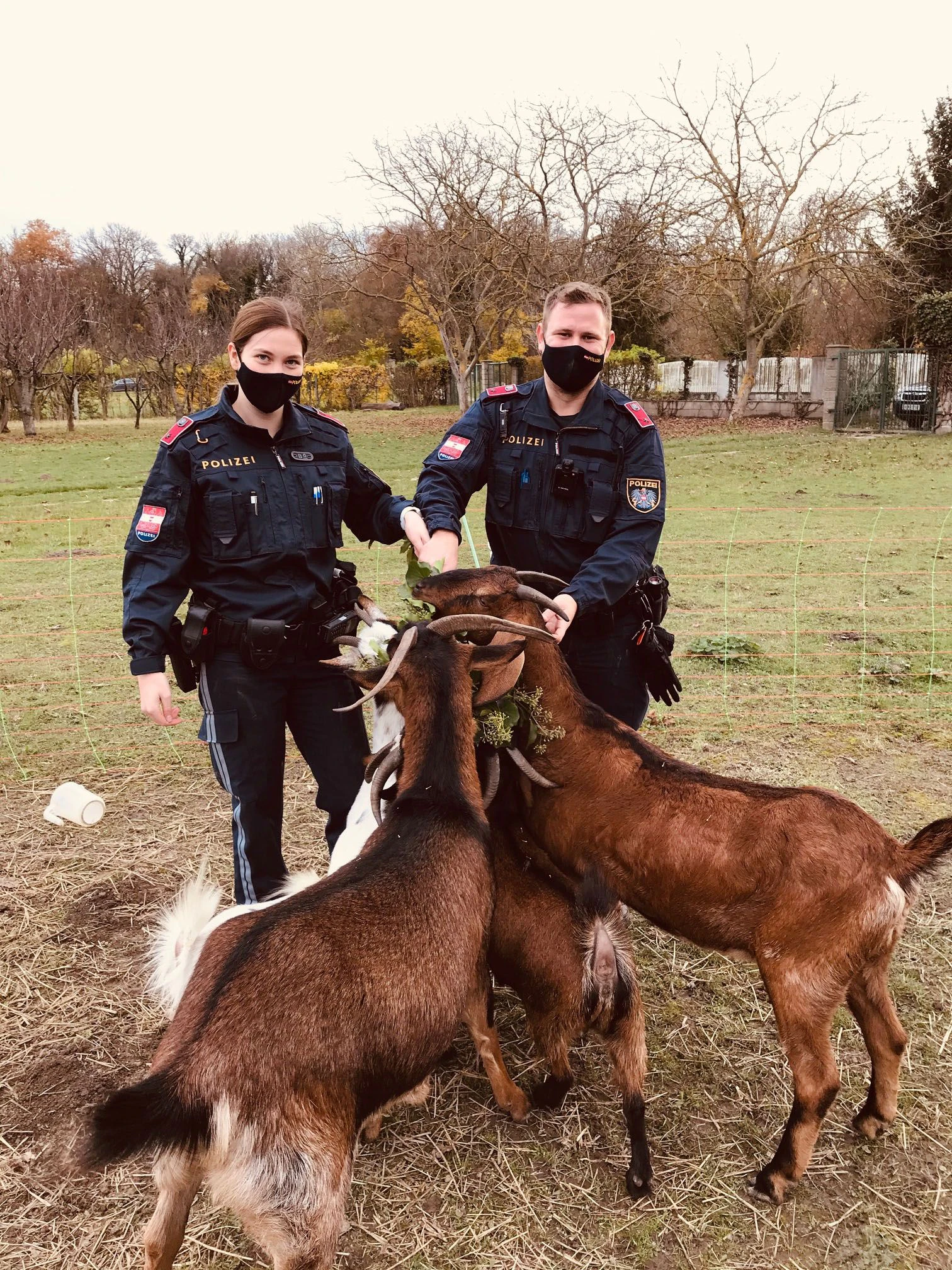 Die Polizeibeamten mit den Ziegen