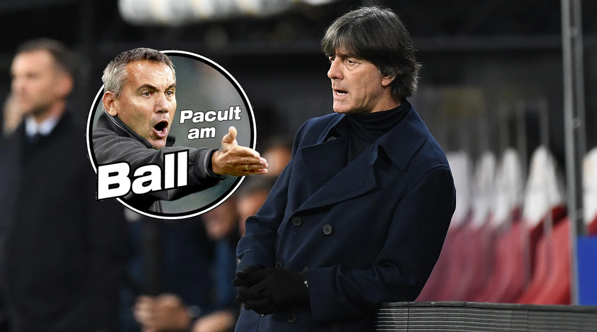 "Heute"-Experte Peter Pacult fühlt mit Trainer-Kollege Jogi Löw.