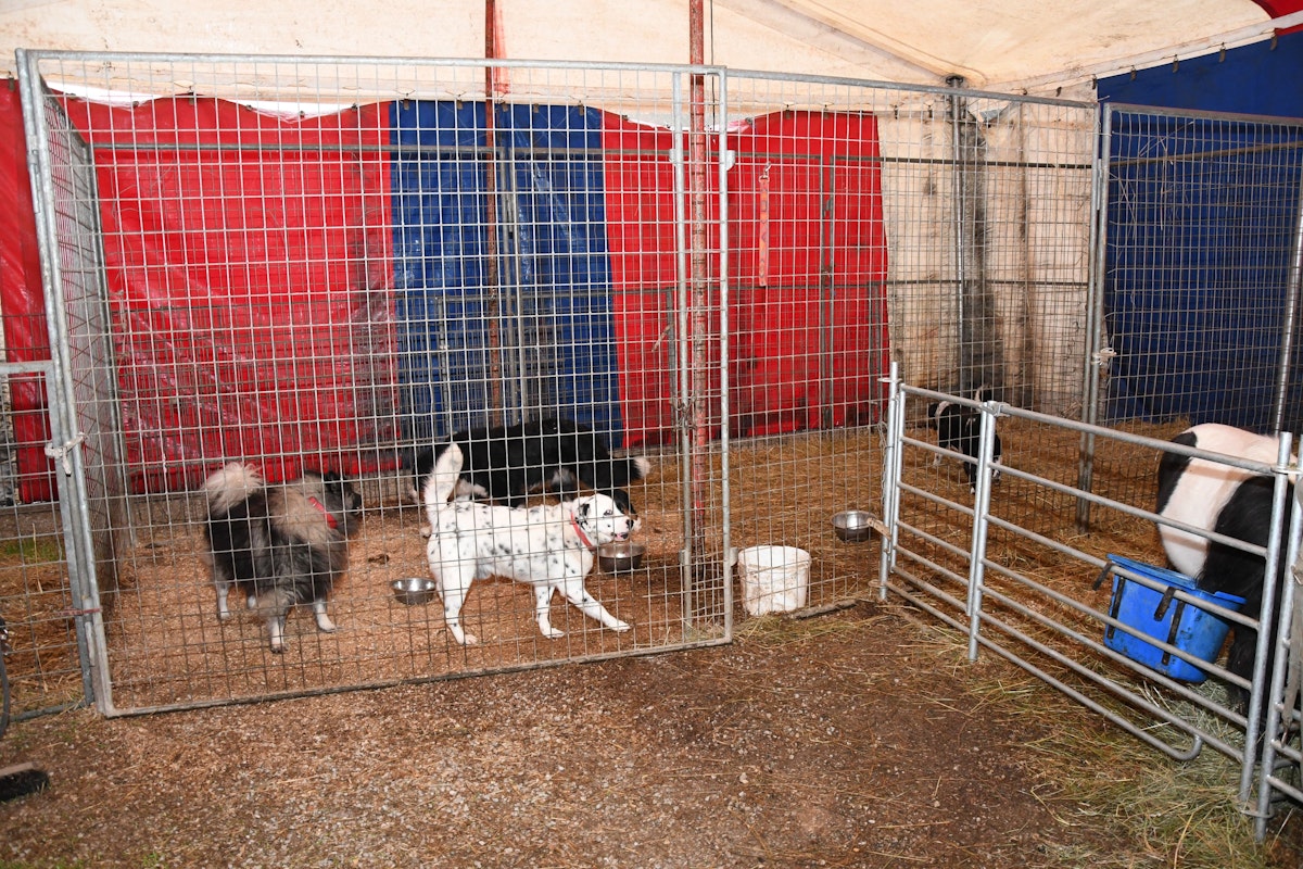 Vor allem für die Tiere wird die Versorgung knapp