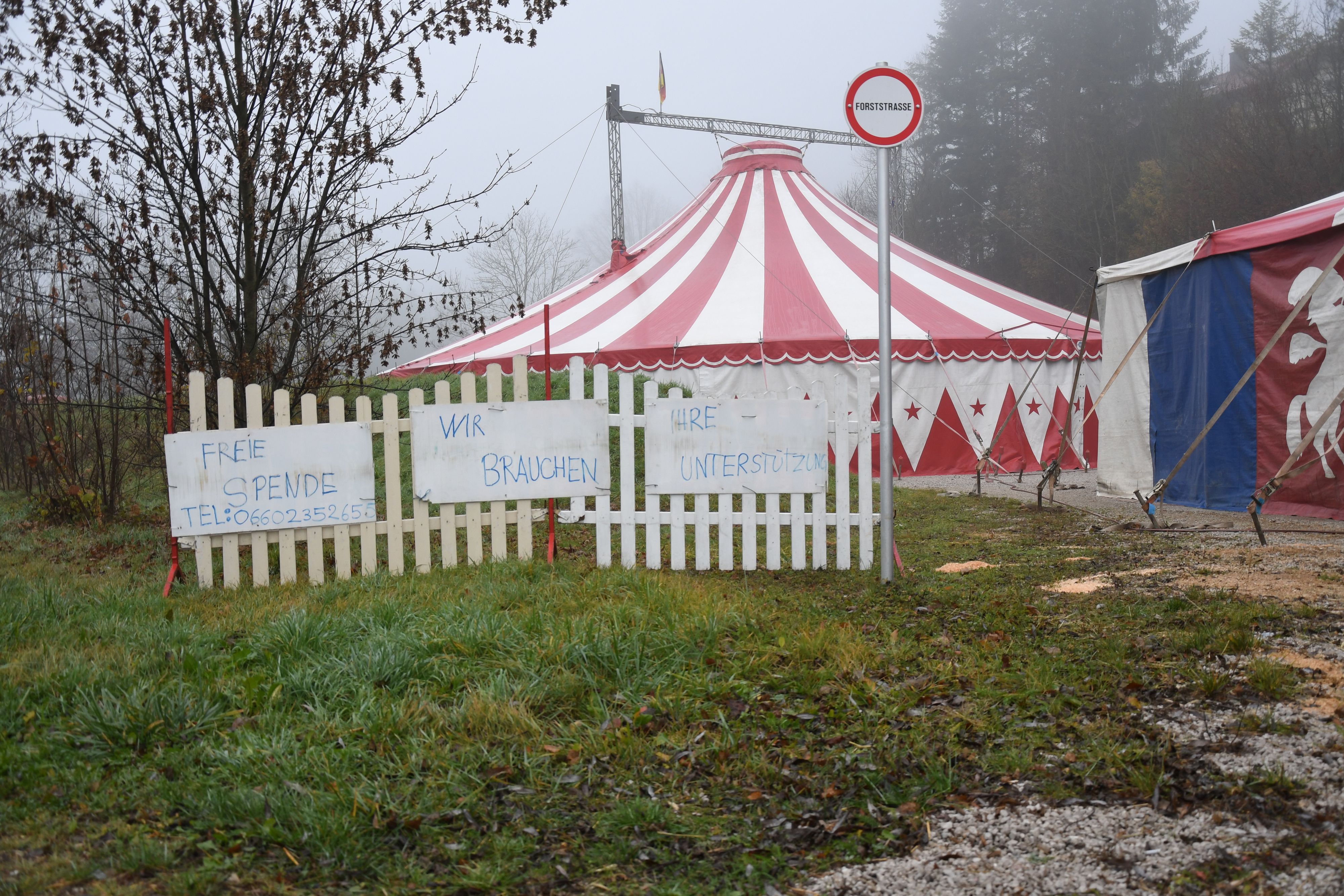 Der kleine Familienbetrieb besteht nur aus fünf Personen und ein paar Tieren. Nun sitzen sie in Niederösterreich während des Lockdowns fest.