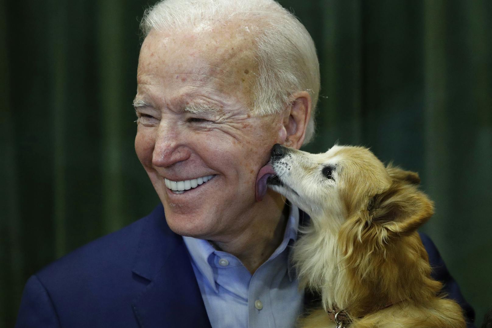 Auch Haustierliebhaber haben sich zusammengeschlossen, um Joe Biden mit dem Slogan "Hundeliebhaber für Joe" bei seiner Kandidatur zu unterstützen. <a href="https://www.heute.at/s/joe-biden-setzt-beim-wahlkampf-auf-die-vierbeiner-100110333">Mehr dazu &gt;&gt;</a>