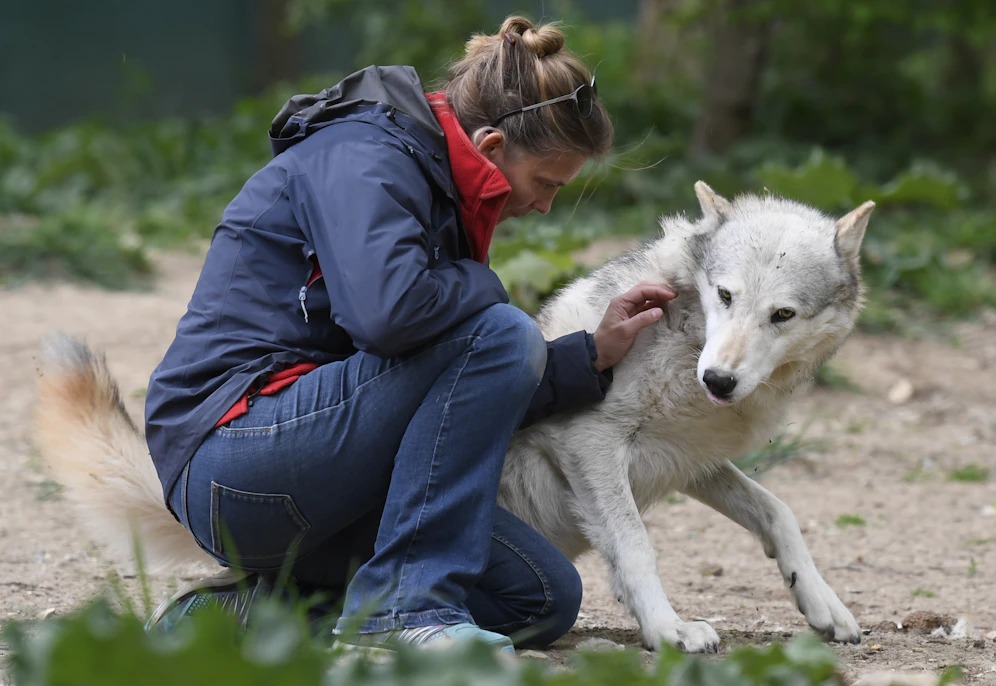 Auch der Wildpark Ernstbrunn muss vorerst schließen.