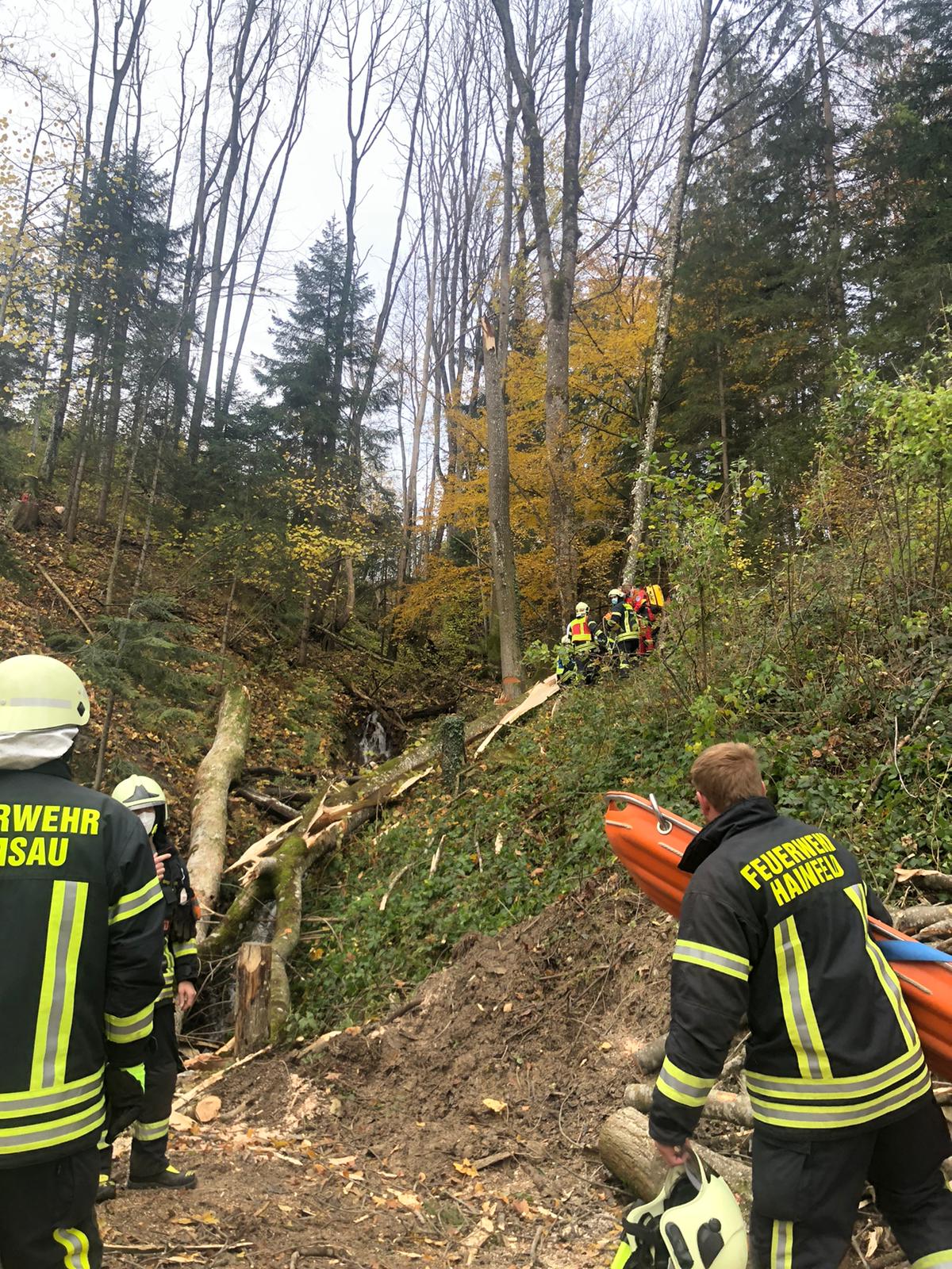 Ein junger Mann wurde bei Forstarbeiten verletzt.