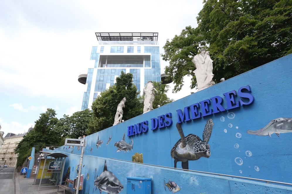 Das Haus des Meeres muss mit 3. November wieder schließen.