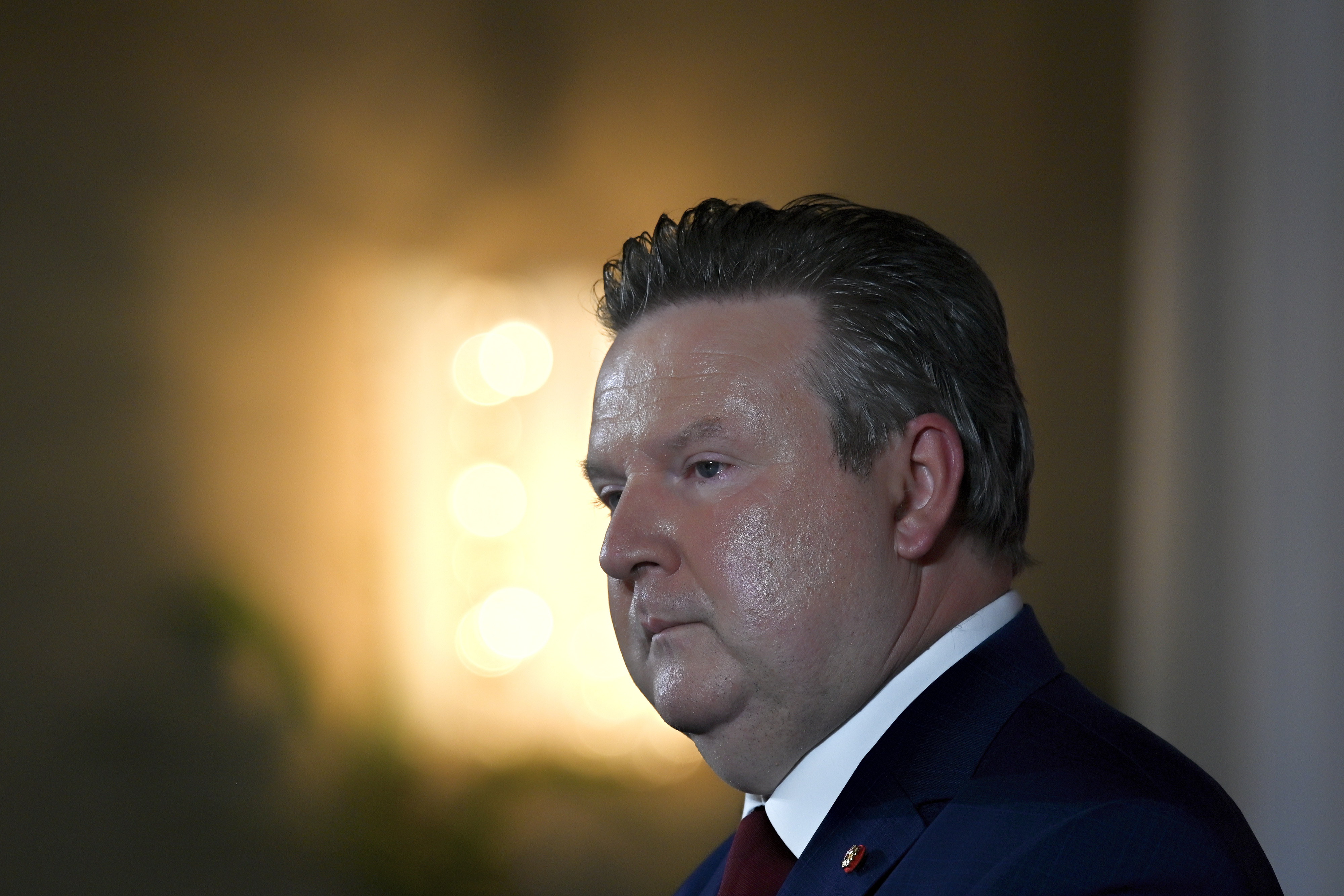 Wiens Bürgermeister Michael Ludwig (SPÖ) ist 