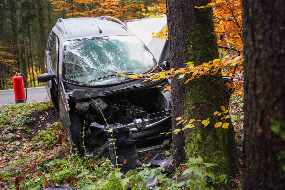 In einem Waldstück prallte der Mann mit seinem Mopedauto gegen den Baum.