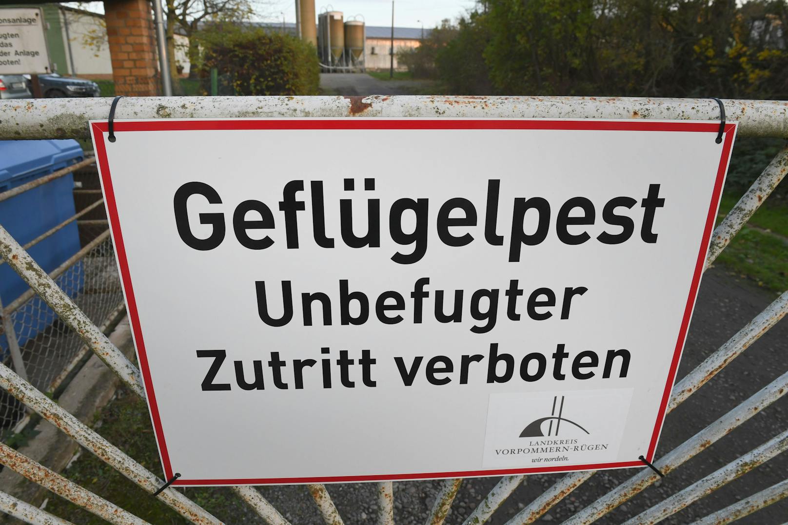 Ein Warnschild vor der Geflügelpest am Zaun eines Truthahn-Mastbetriebs in Vorpommern-Rügen, Deutschland