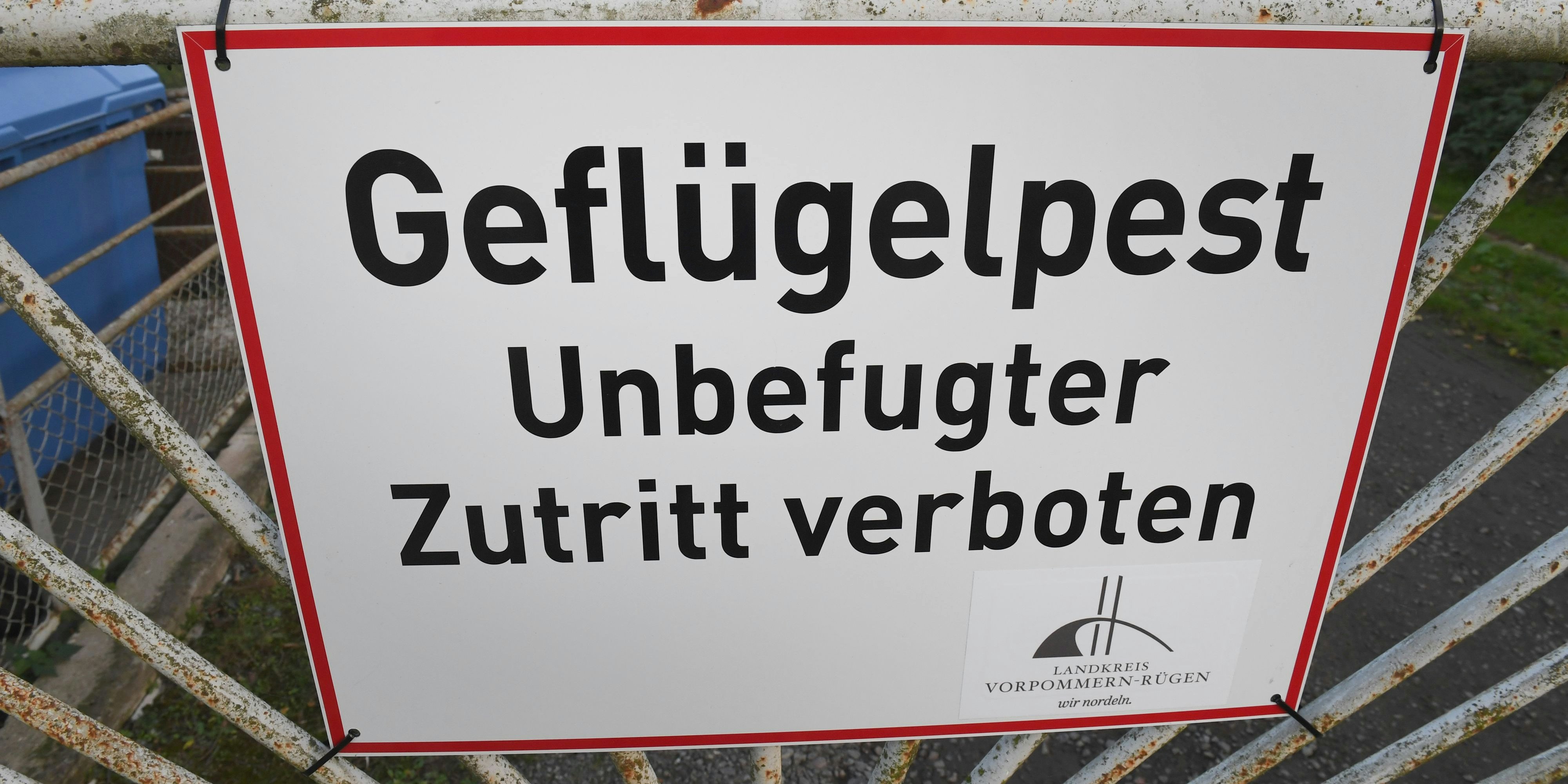 Ein Warnschild vor der Geflügelpest am Zaun eines Truthahn-Mastbetriebs in Vorpommern-Rügen, Deutschland