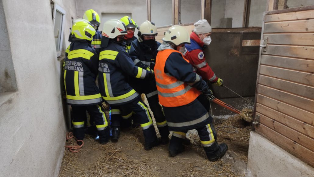 Die Feuerwehr Breitenwaida musste zu einem nicht alltäglichen Einsatz ausrücken.