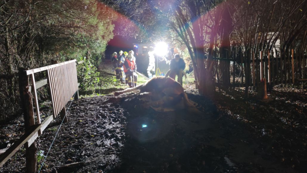 Das tote Pferd musste 100 Meter transportiert werden.