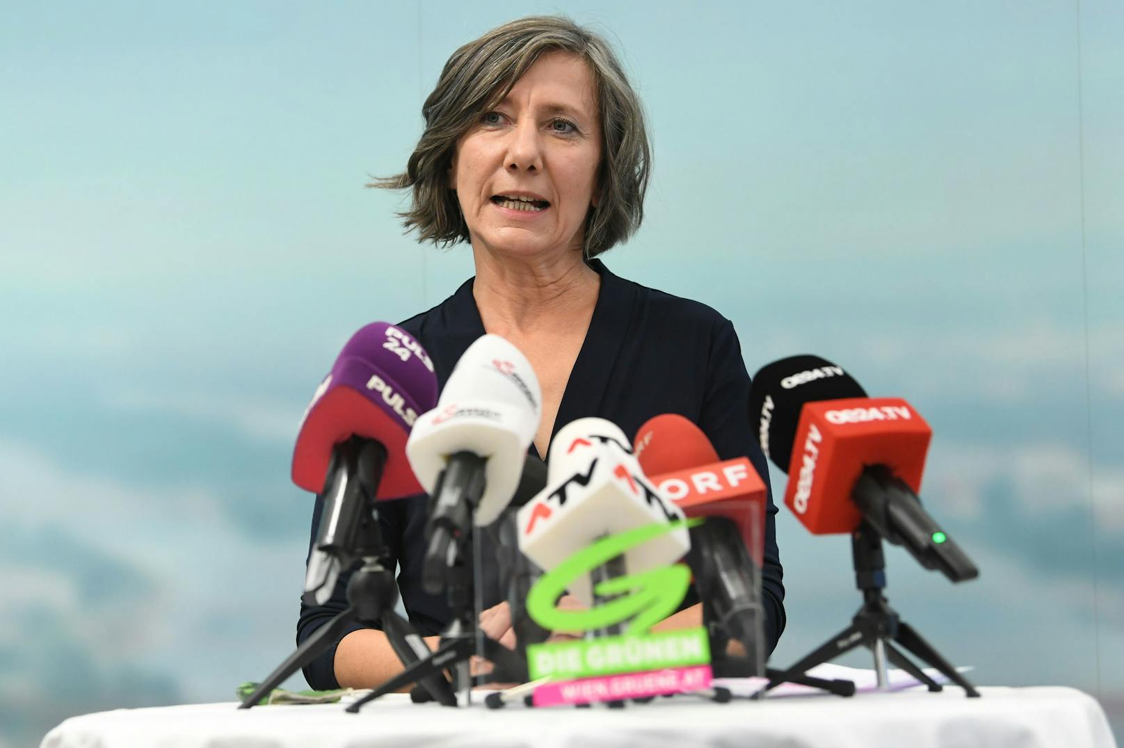 Bis Ende 2021 ist die noch amtierende Wiener Vizebürgermeisterin Birgit Hebein als grüne Parteivorsitzende gewählt worden.
