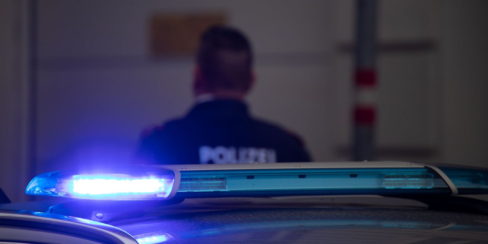 Ein Wiener Polizist im Einsatz. Symbolbild