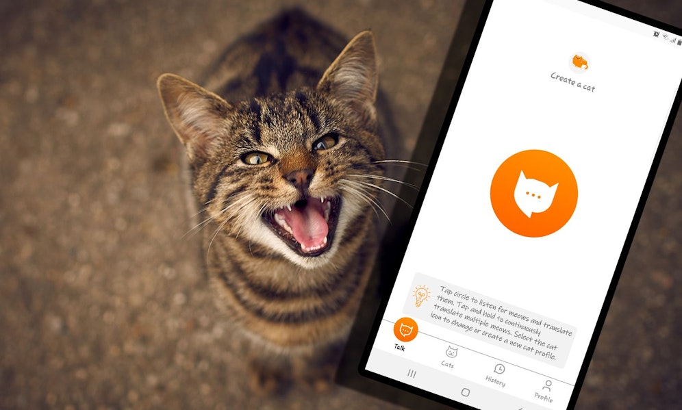 Ein ehemaliger Amazon-Ingeneur übersetzt dir mittels APP nun das 