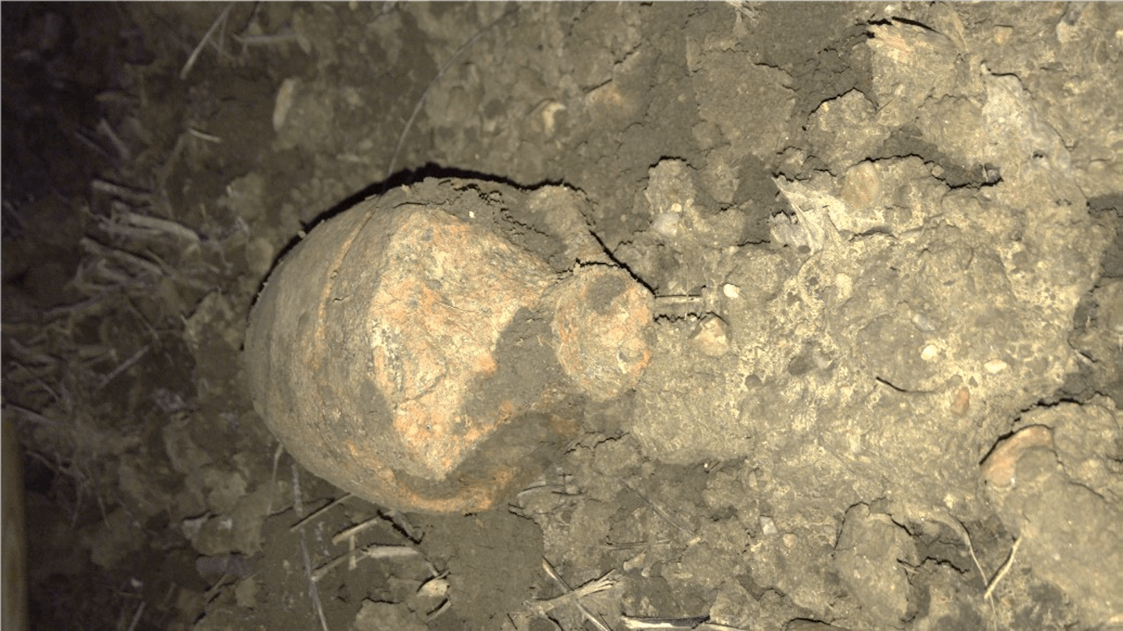Frau entdeckt Granate im Burgenland
