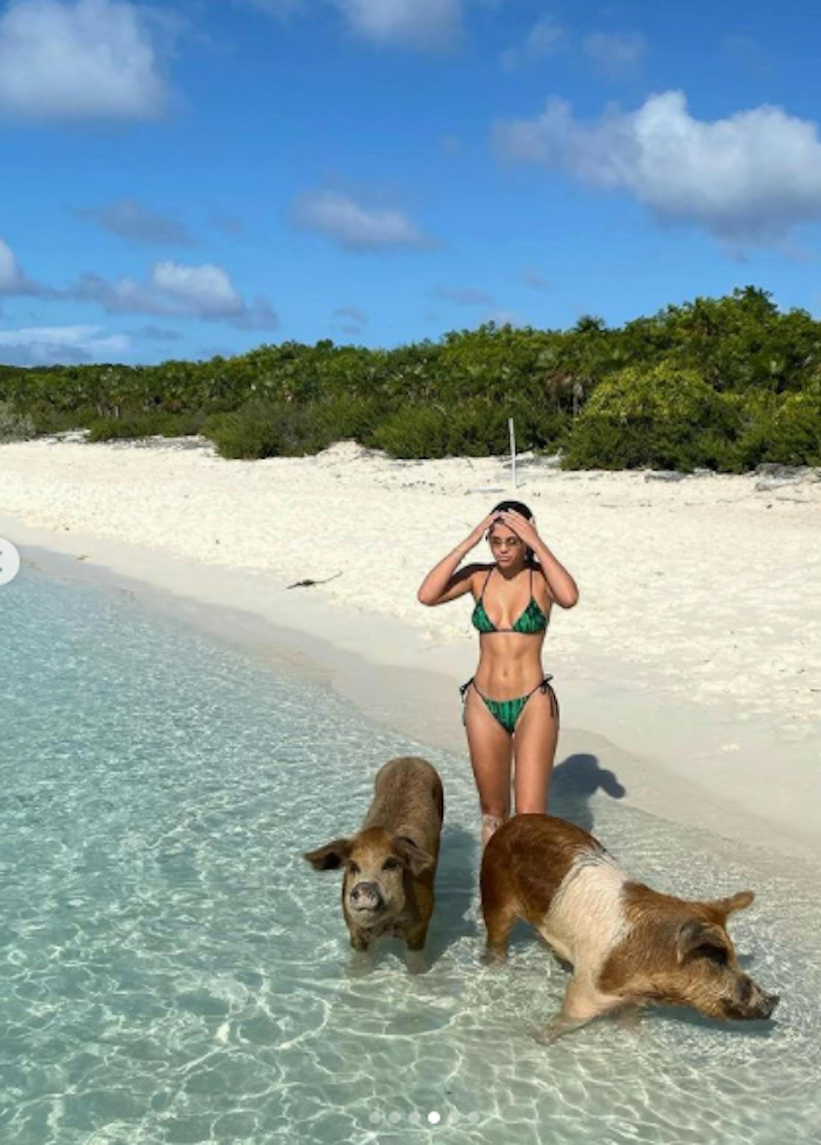 24.11.2020: Sofia Richie, Tochter von Sänger Lionel Richie, macht derzeit Ferien auf den Bahamas und ging mit ein paar Schweinen baden, die am Strand leben und eine Touristenattraktion auf der Insel sind.
