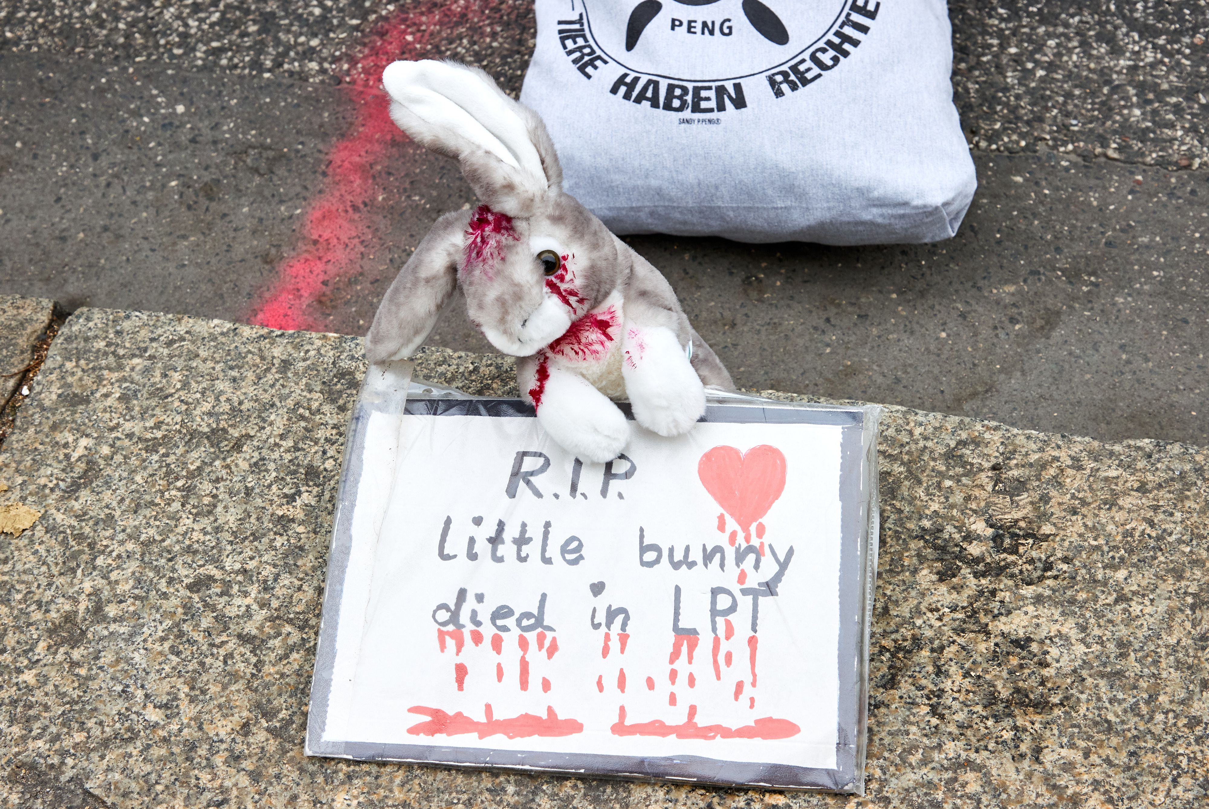 Tierschützer atmen nun endlich auf. Das Skandal-Labor "LPT" wurde geschlossen und wird nun in ein Tierheim umgewidmet. 