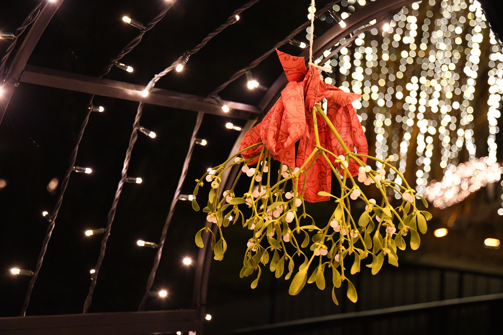 Auf dem Kopf aufgehängt, ist der Mistelzweig eine alljährliche Tradition zum Weihnachtsfest. 