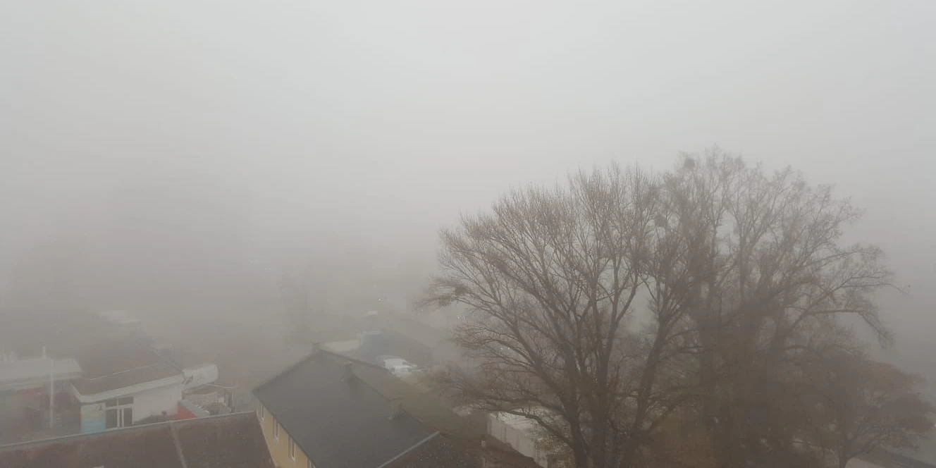 Nebel