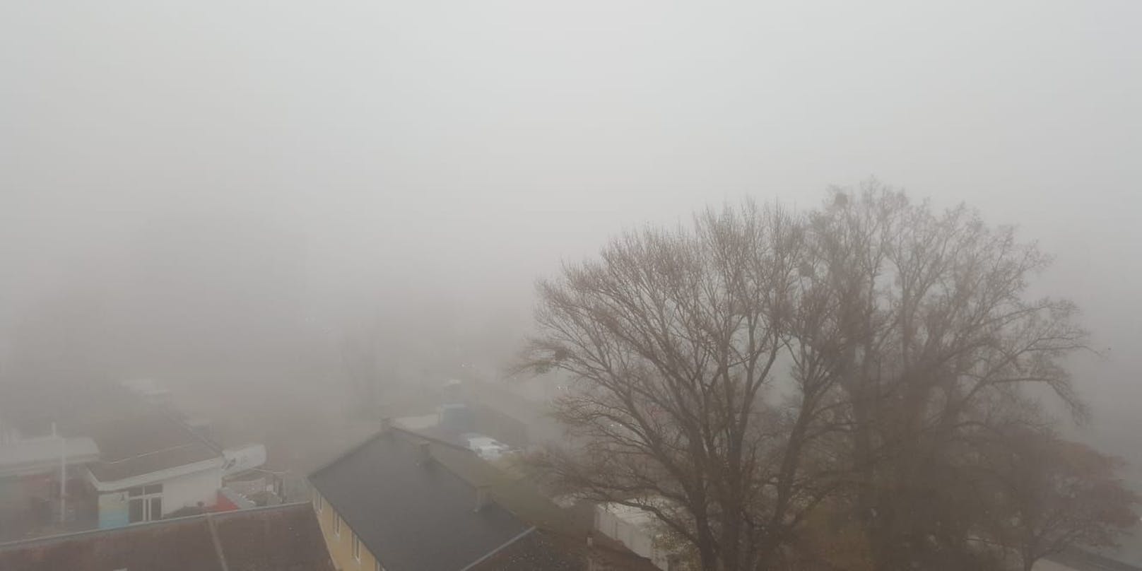 Dichter Nebel in der Bundeshauptstadt.