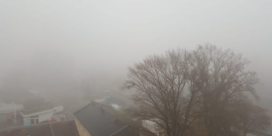 Dichter Nebel in der Bundeshauptstadt.