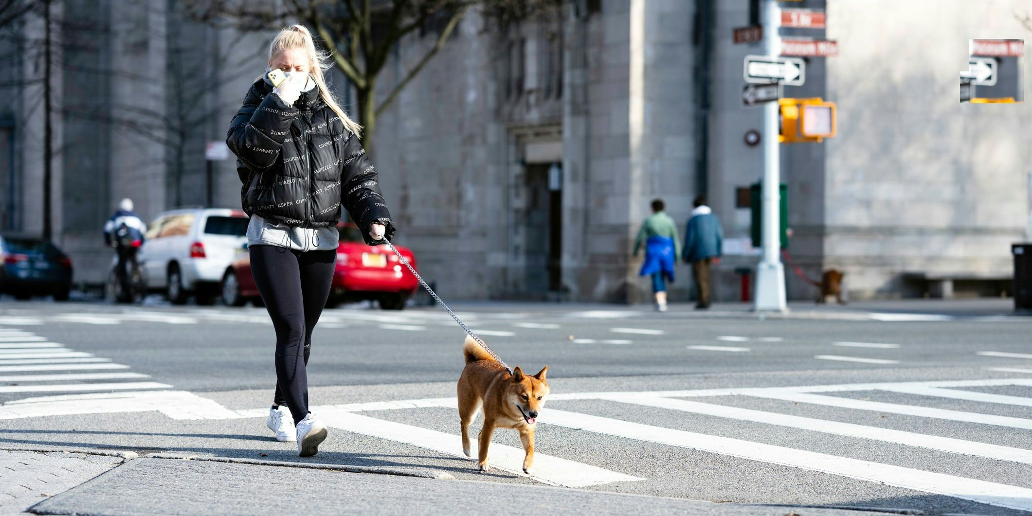Ungefähr 700.000 Hunde leben in Österreich. Doch was tun, wenn man Corona-bedingt nicht Gassi gehen darf? 