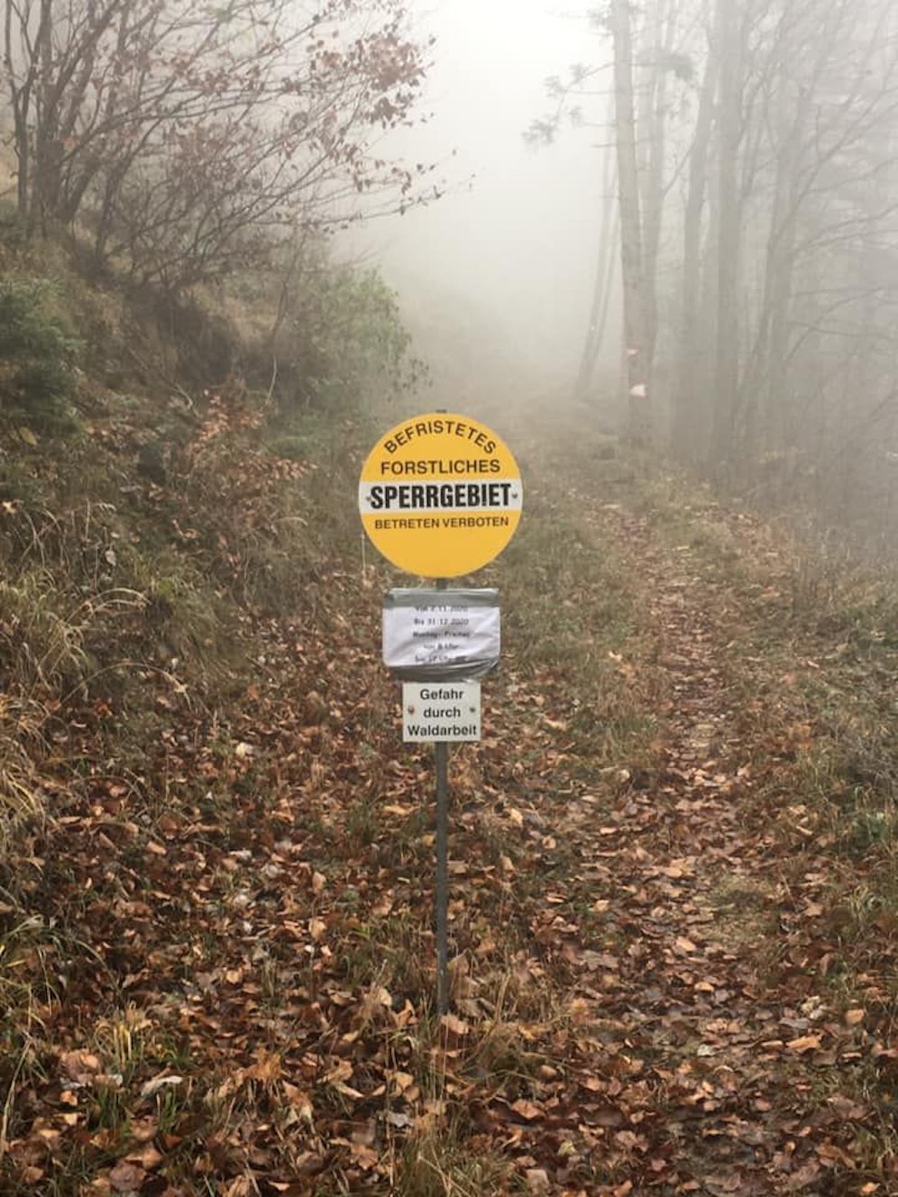 Wegen Schlägerungen ist das Waldgebiet gesperrt.