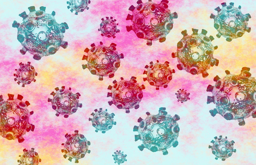 In Dänemark wurde eine mutierte Form des Coronavirus gefunden, die als besonders gefährlich gilt, weil sie die Wirksamkeit künftiger Impfstoffe beeinträchtigen könnte. Die dortige Regierung ordnete deshalb eine Keulung aller Nerze im Land an