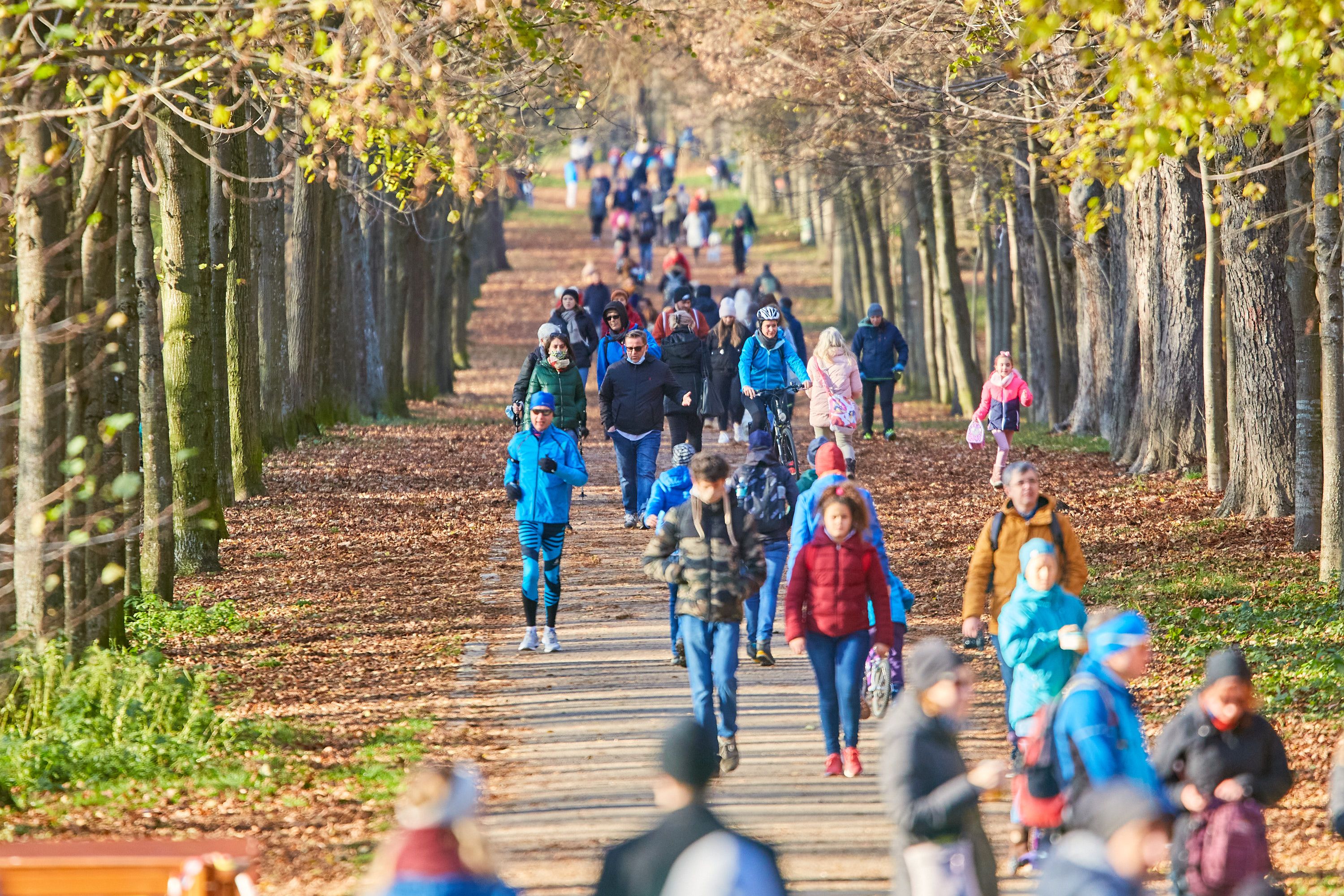 Menschen im Wienerwald