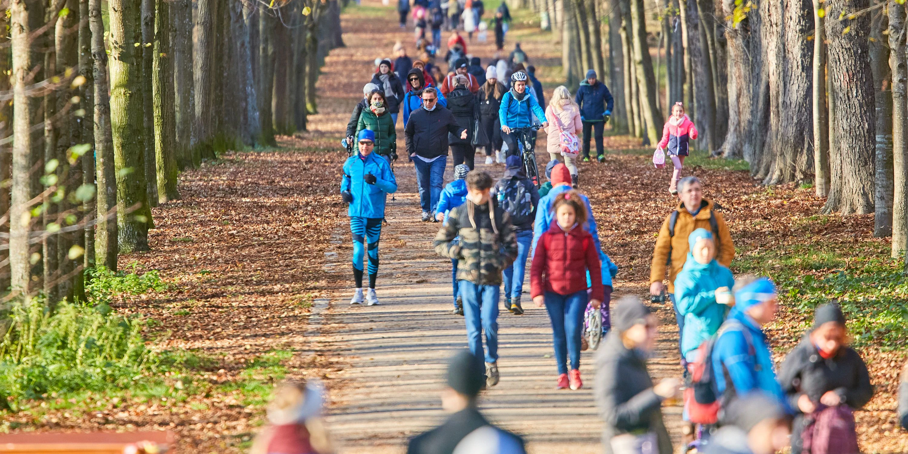 Menschen im Wienerwald
