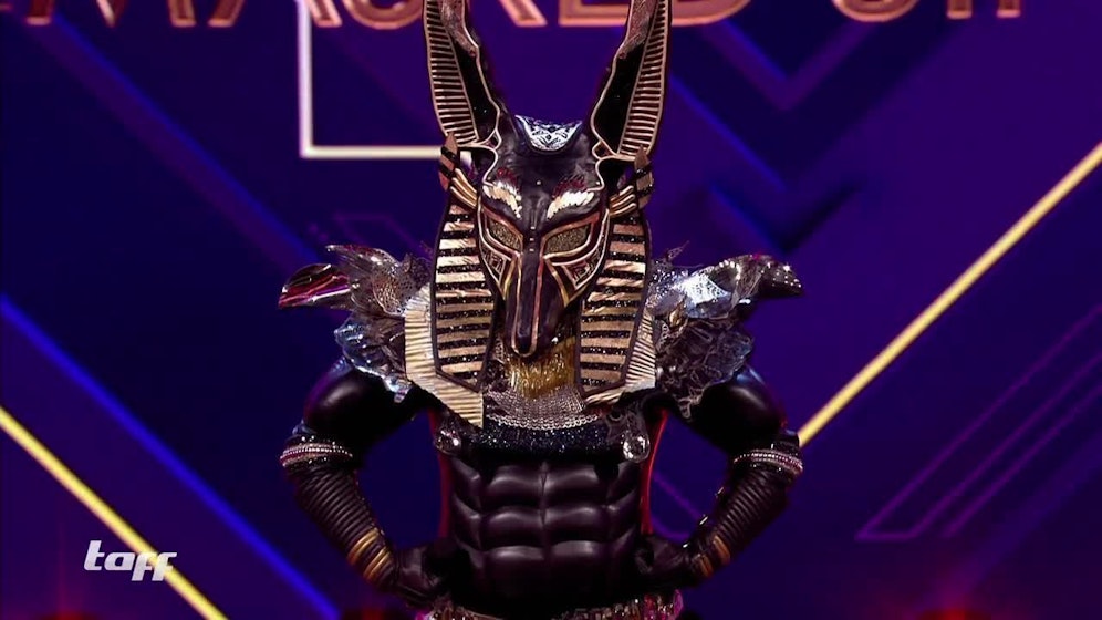 Der Anubis schaffte es knapp nicht zum Sieg.