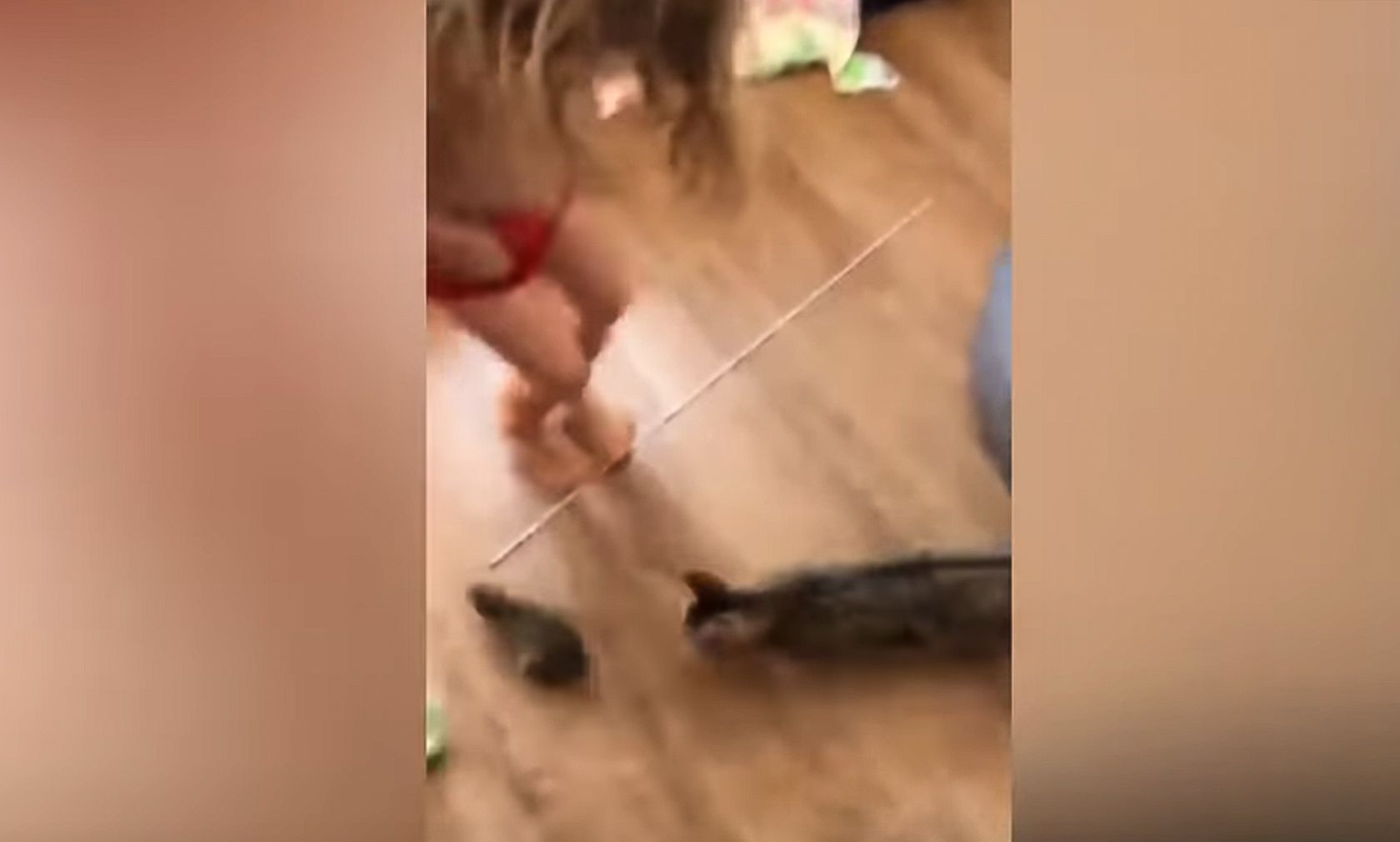 Tja, also wie ein Haserl sieht das wohl wirklich nicht aus... 